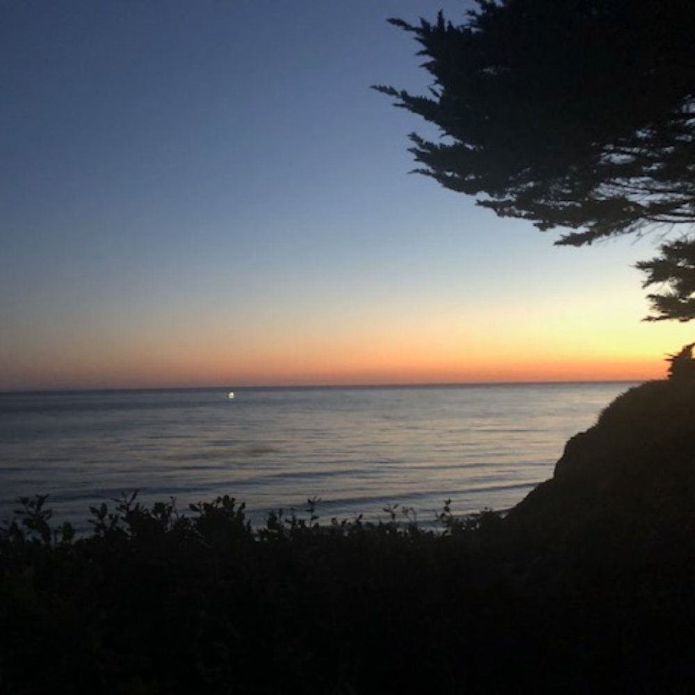 Meet your Posher, Rae